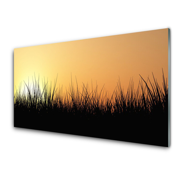 Acrylglasbilder Gras Natur