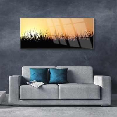 Acrylglasbilder Gras Natur