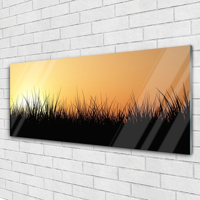Acrylglasbilder Gras Natur