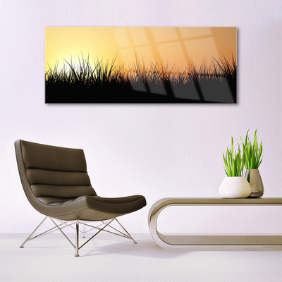 Acrylglasbilder Gras Natur
