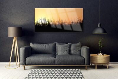 Acrylglasbilder Gras Natur