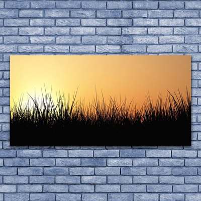 Acrylglasbilder Gras Natur