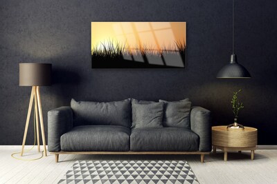 Acrylglasbilder Gras Natur