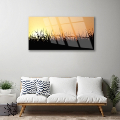 Acrylglasbilder Gras Natur