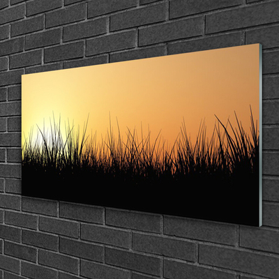 Acrylglasbilder Gras Natur