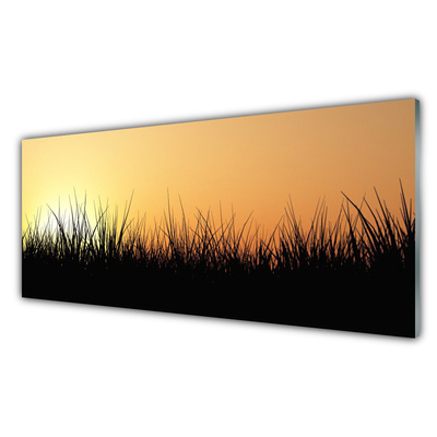 Acrylglasbilder Gras Natur