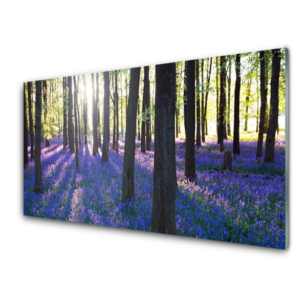 Acrylglasbilder Wald Natur