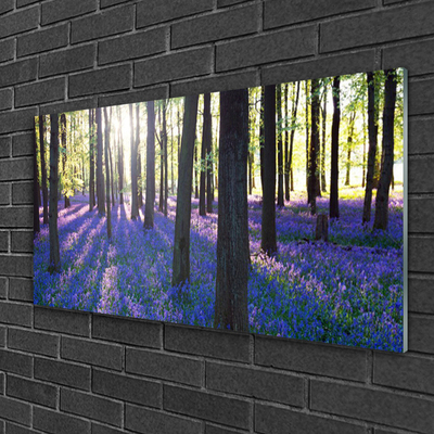 Acrylglasbilder Wald Natur