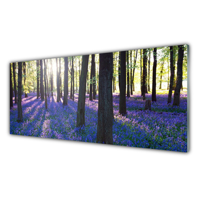 Acrylglasbilder Wald Natur