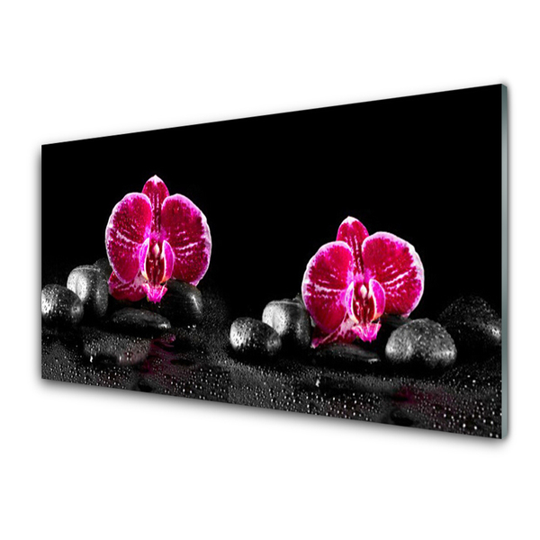 Acrylglasbilder Blumen Steine Pflanzen