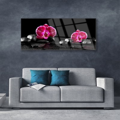 Acrylglasbilder Blumen Steine Pflanzen