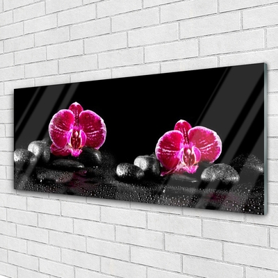 Acrylglasbilder Blumen Steine Pflanzen