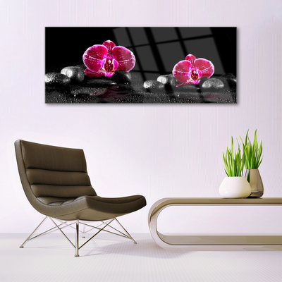 Acrylglasbilder Blumen Steine Pflanzen