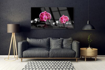 Acrylglasbilder Blumen Steine Pflanzen
