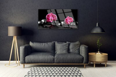Acrylglasbilder Blumen Steine Pflanzen