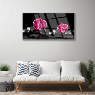 Acrylglasbilder Blumen Steine Pflanzen