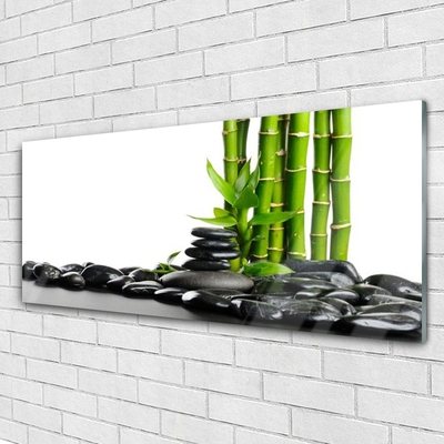 Acrylglasbilder Bambus Steine Kunst