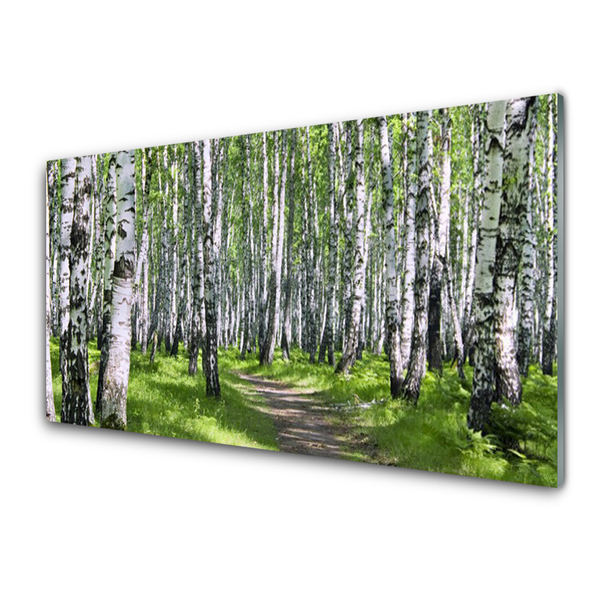 Acrylglasbilder Wald Fußpfad Natur