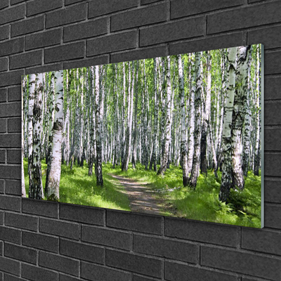 Acrylglasbilder Wald Fußpfad Natur