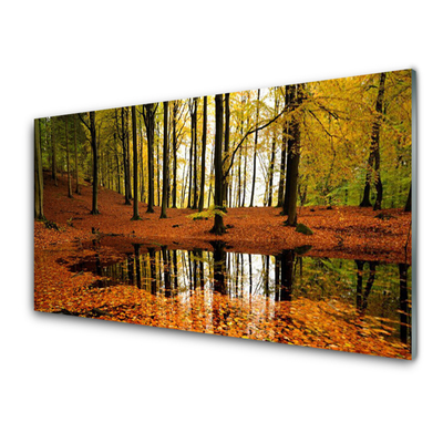 Acrylglasbilder Wald Natur