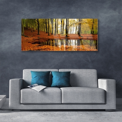 Acrylglasbilder Wald Natur