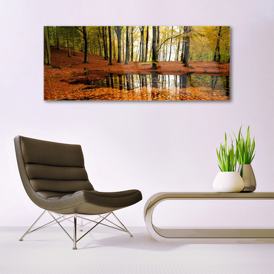 Acrylglasbilder Wald Natur