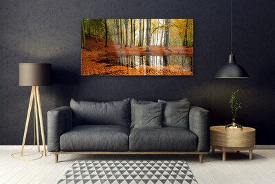 Acrylglasbilder Wald Natur