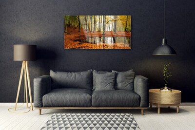 Acrylglasbilder Wald Natur