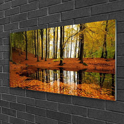 Acrylglasbilder Wald Natur