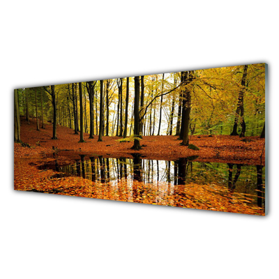 Acrylglasbilder Wald Natur