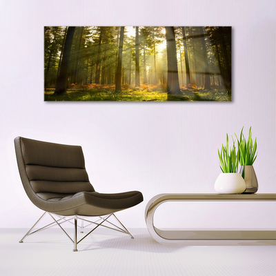 Acrylglasbilder Wald Natur