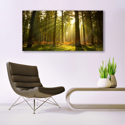 Acrylglasbilder Wald Natur