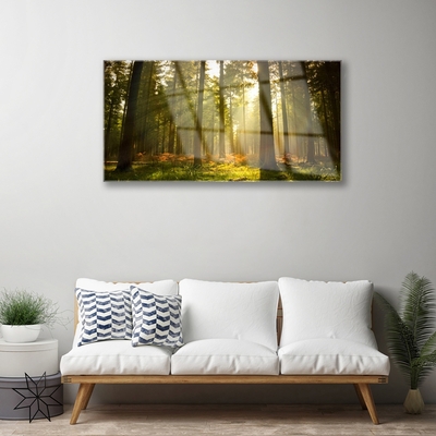 Acrylglasbilder Wald Natur