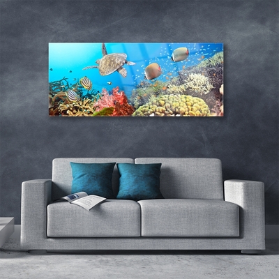 Acrylglasbilder Korallenriff Landschaft
