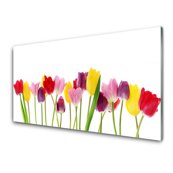 Acrylglasbilder Tulpen Pflanzen