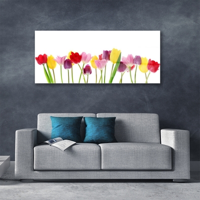 Acrylglasbilder Tulpen Pflanzen