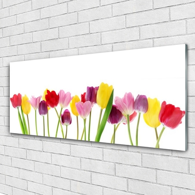 Acrylglasbilder Tulpen Pflanzen