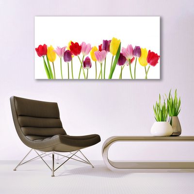 Acrylglasbilder Tulpen Pflanzen