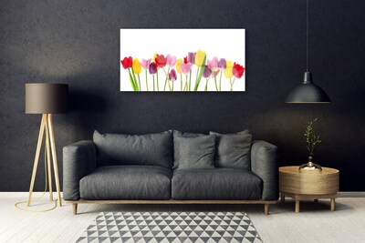 Acrylglasbilder Tulpen Pflanzen