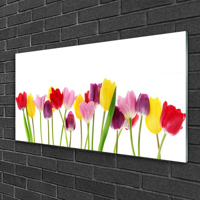 Acrylglasbilder Tulpen Pflanzen