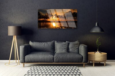 Acrylglasbilder Bäume Sonne Landschaft