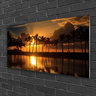 Acrylglasbilder Bäume Sonne Landschaft