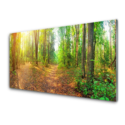 Acrylglasbilder Wald Natur