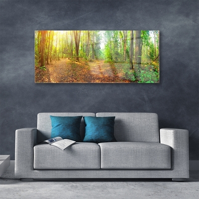 Acrylglasbilder Wald Natur