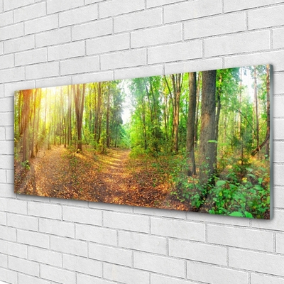 Acrylglasbilder Wald Natur