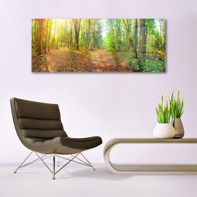 Acrylglasbilder Wald Natur