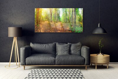 Acrylglasbilder Wald Natur