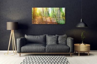 Acrylglasbilder Wald Natur