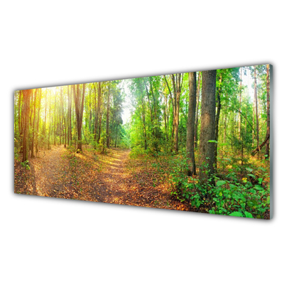 Acrylglasbilder Wald Natur