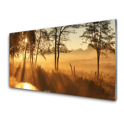 Acrylglasbilder Bäume Natur